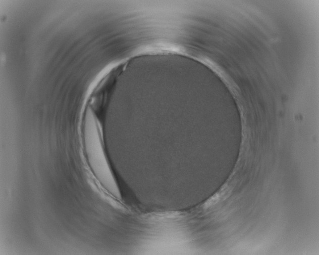 X0000072990864200608041306