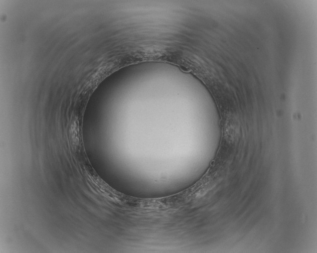 X0000072990866200608041306