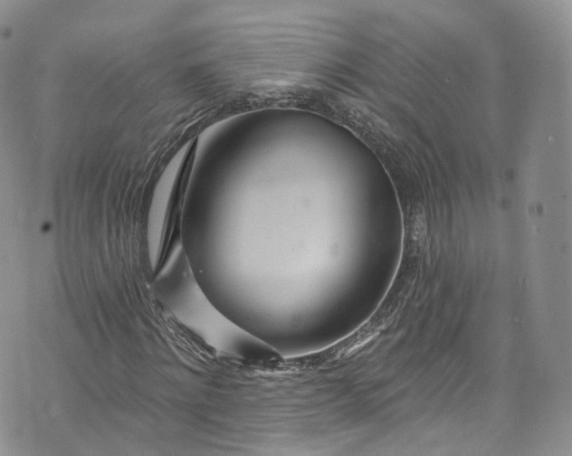 X0000072990868200608041306