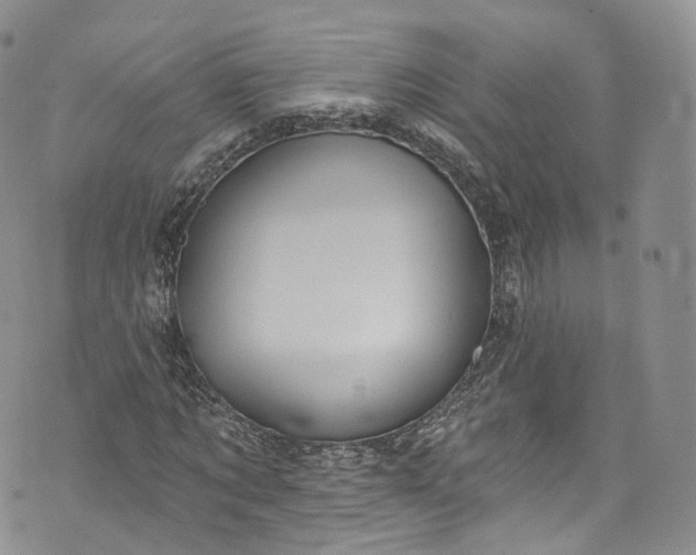 X0000072990869200608041306