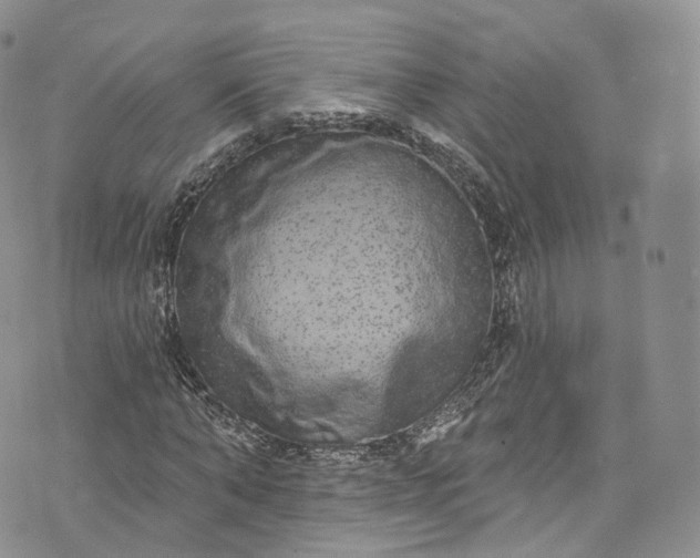 X0000072990870200608041306