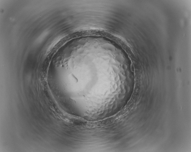 X0000072990871200608041306