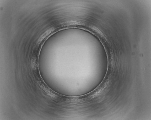 X0000072990873200608041305