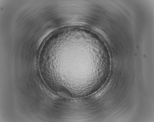 X0000072990875200608041305