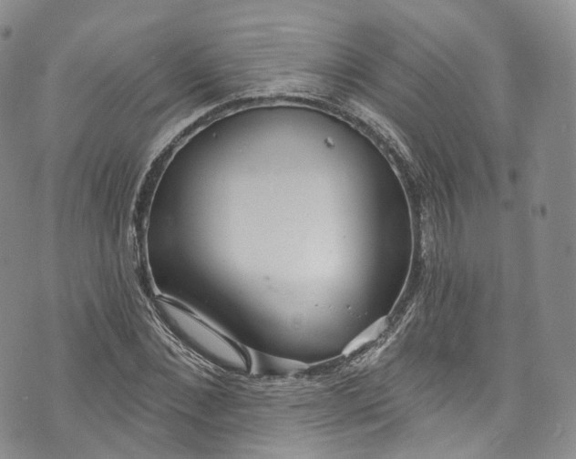 X0000072990876200608041305