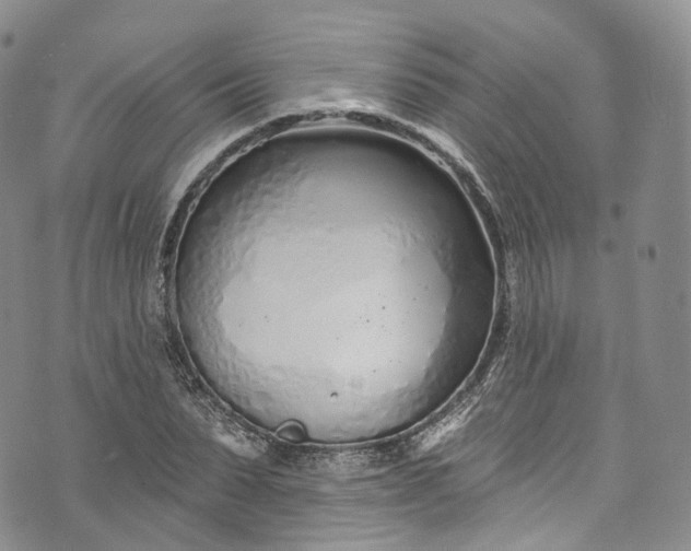 X0000072990879200608041305