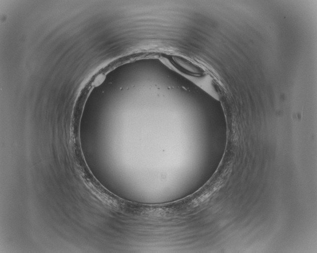 X0000072990880200608041305