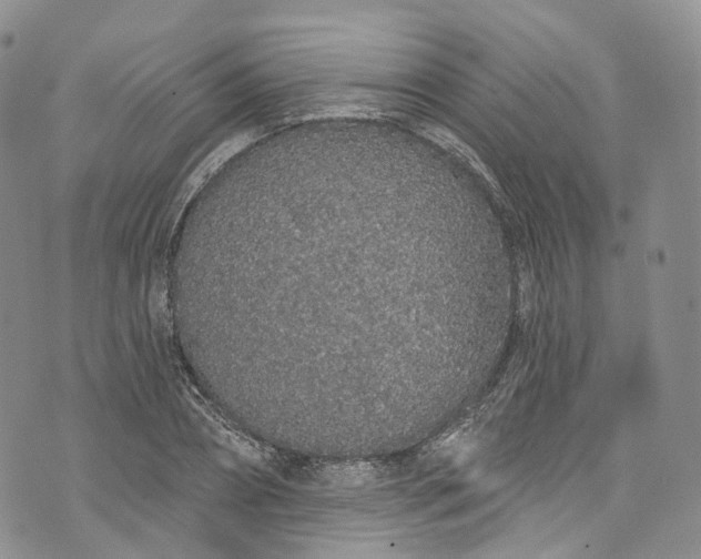 X0000072990882200608041305