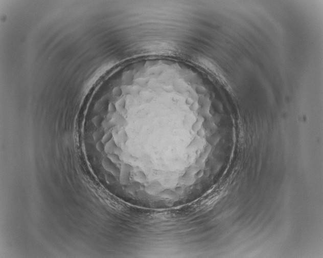 X0000072990883200608041305