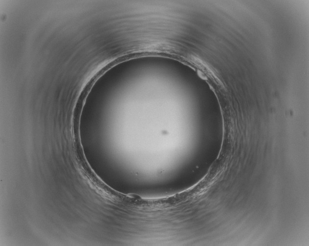 X0000072990884200608041305