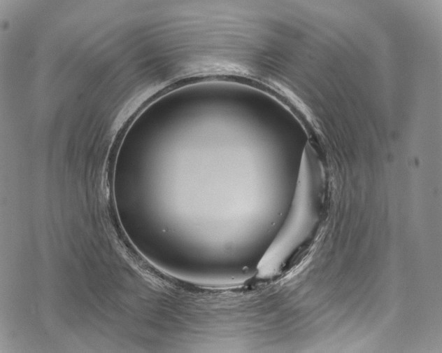 X0000072990885200608041305