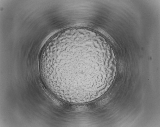 X0000072990886200608041305