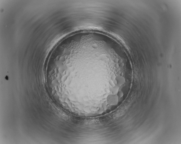 X0000072990887200608041305