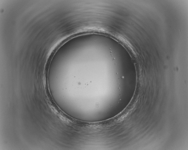 X0000072990888200608041305