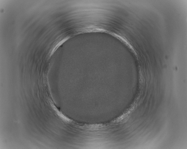 X0000072990889200608041305