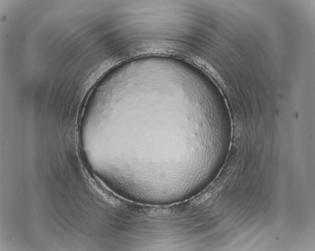 X0000072990890200608041305