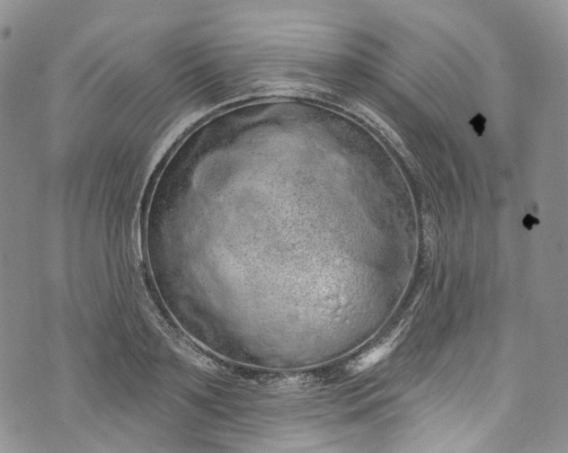 X0000072990891200608041305