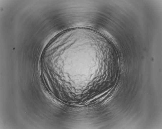 X0000072990892200608041305