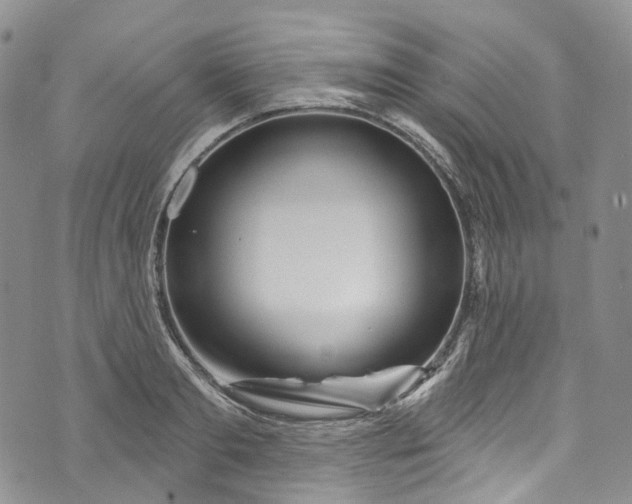 X0000072990893200608041305