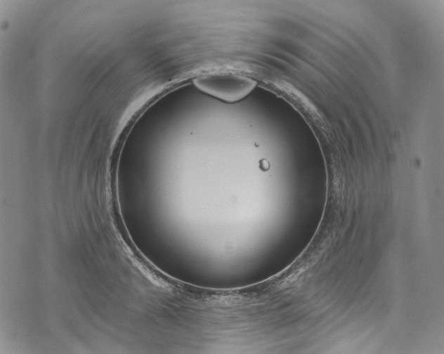 X0000072990894200608041305