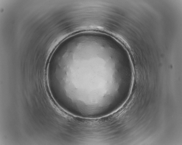 X0000072990895200608041305