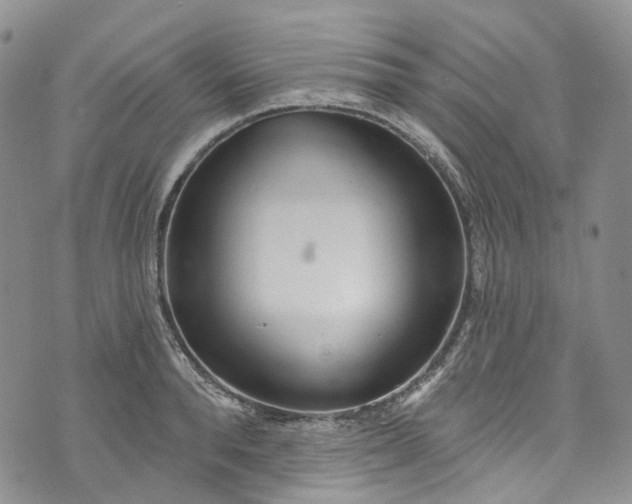 X0000072990896200608041305