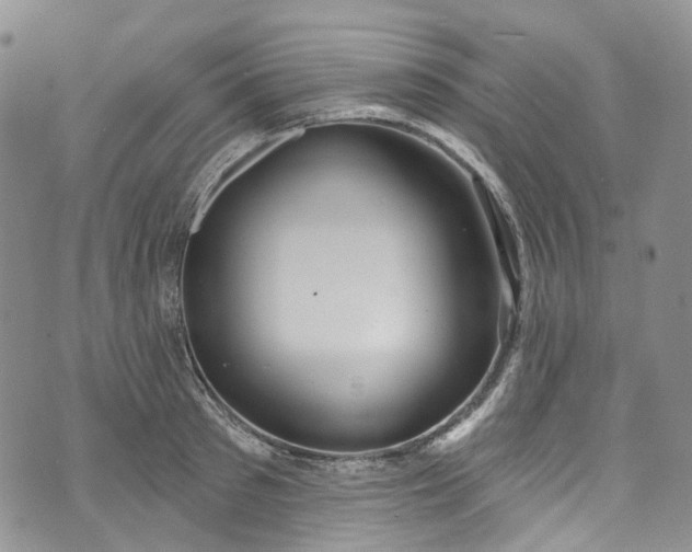 X0000072990897200608041305