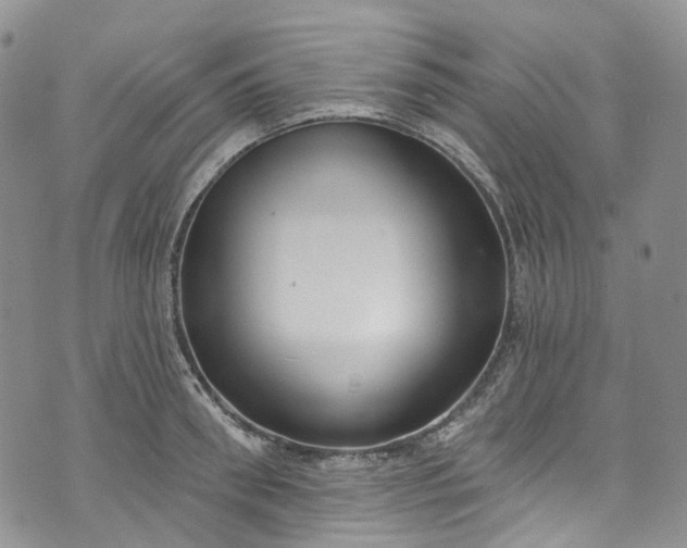 X0000072990898200608041305