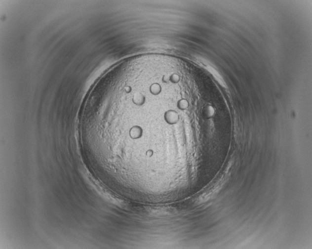 X0000072990899200608041305