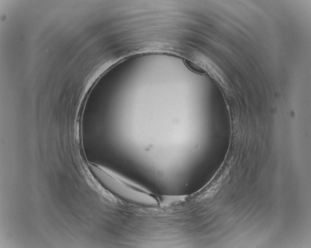 X0000072990900200608041305