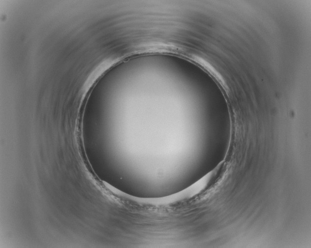 X0000072990901200608041305