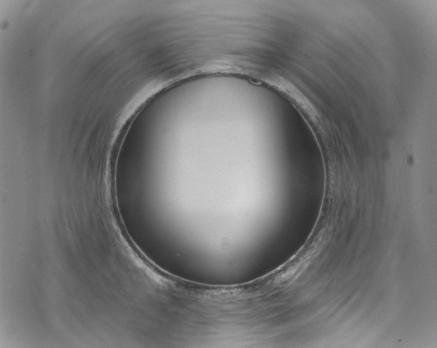 X0000072990902200608041305