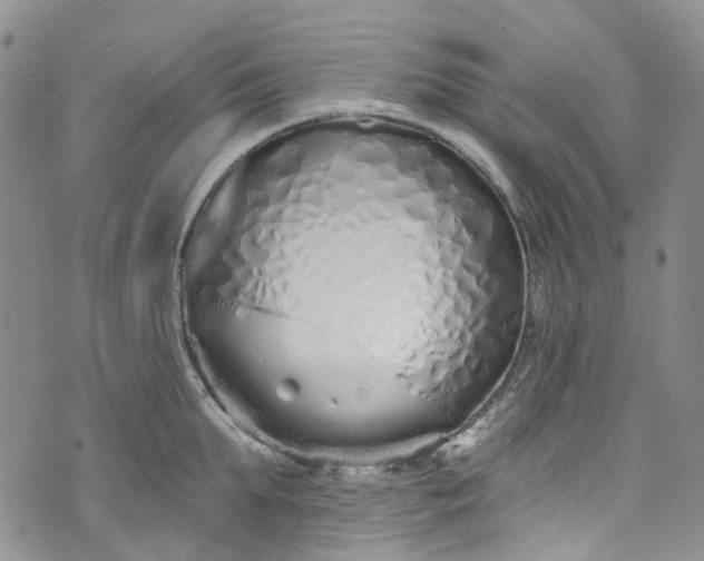 X0000072990903200608041305