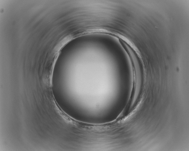 X0000072990905200608041305