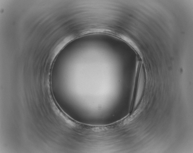 X0000072990906200608041305