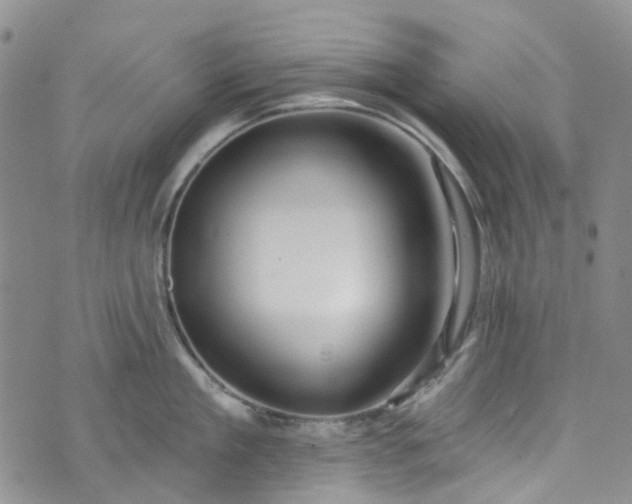 X0000072990909200608041305