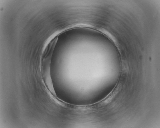 X0000072990910200608041305