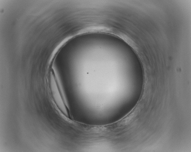 X0000072990912200608041305