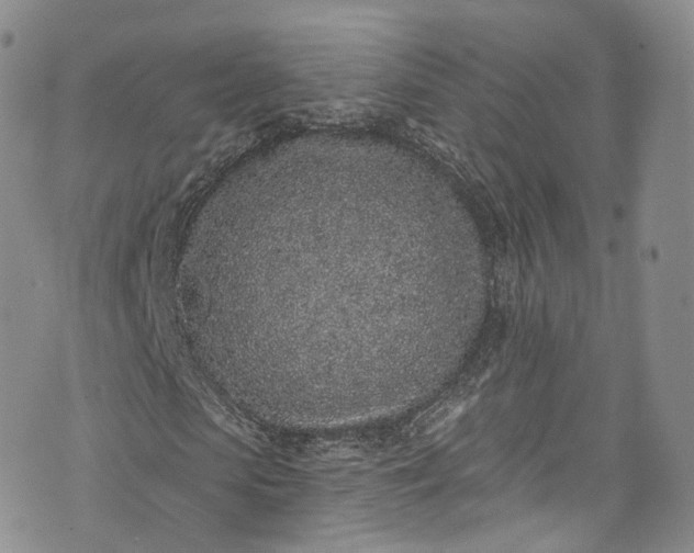 X0000072990913200608041304