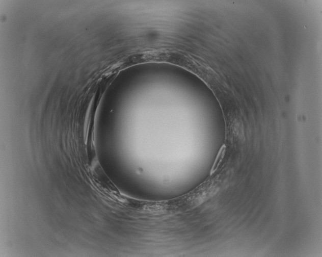 X0000072990914200608041304