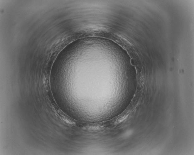 X0000072990917200608041304