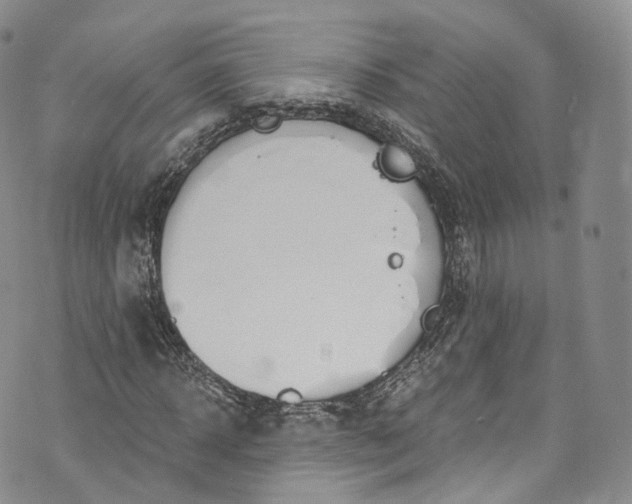 X0000072990918200608041304