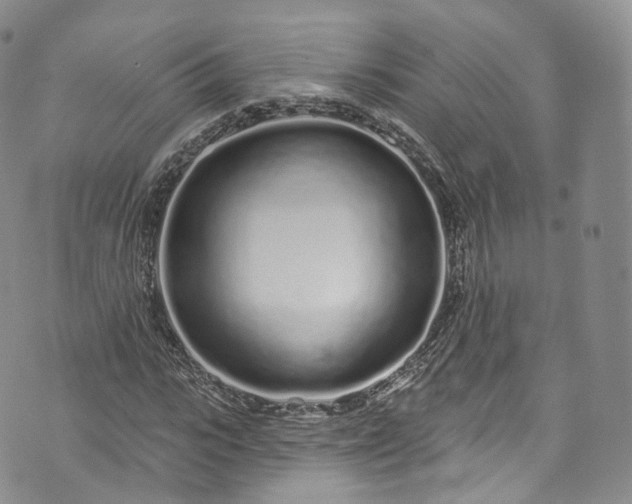 X0000072990919200608041304