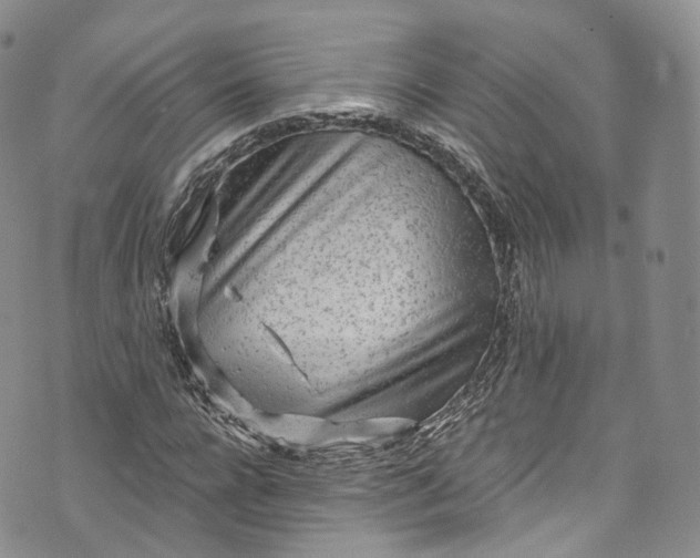 X0000072990920200608041304