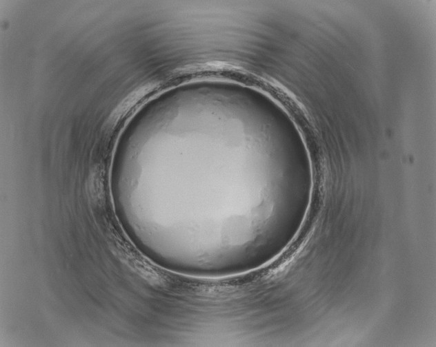 X0000072990921200608041304