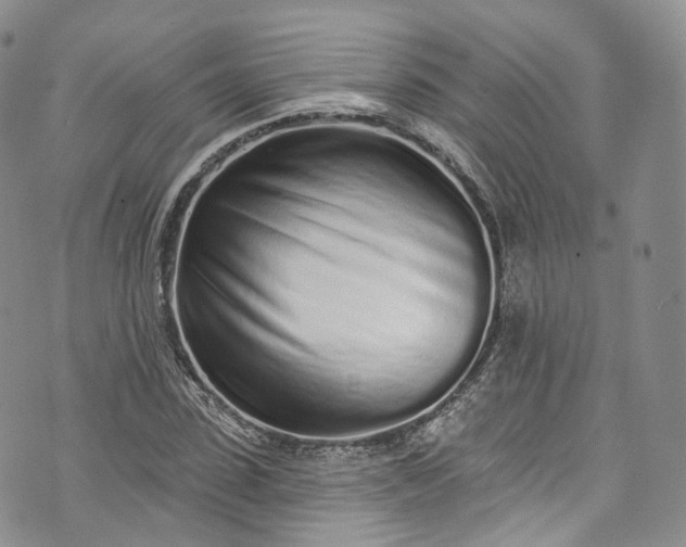 X0000072990923200608041304