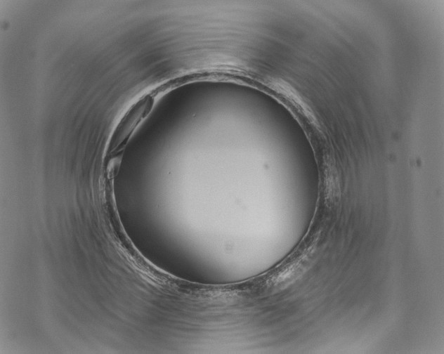 X0000072990924200608041304