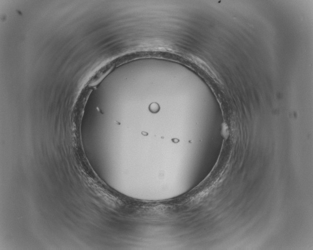 X0000072990926200608041304