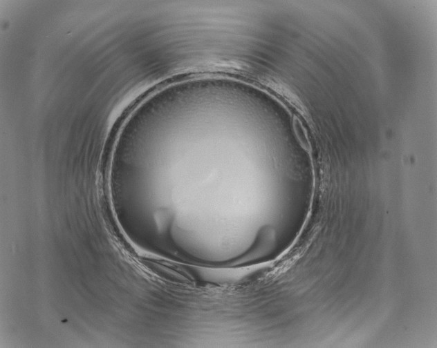 X0000072990928200608041304