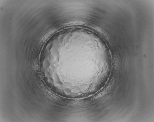 X0000072990929200608041304